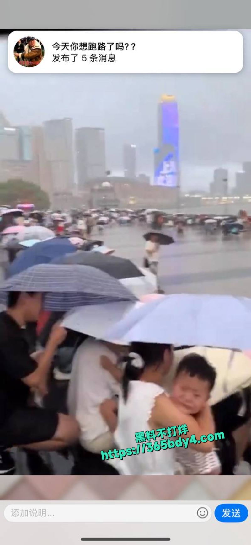 台风竹节草导致上海黄浦江水倒灌3