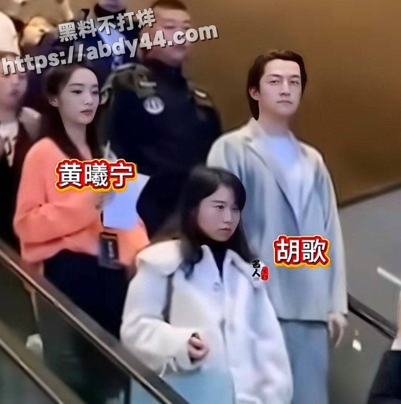 胡歌的瓜12