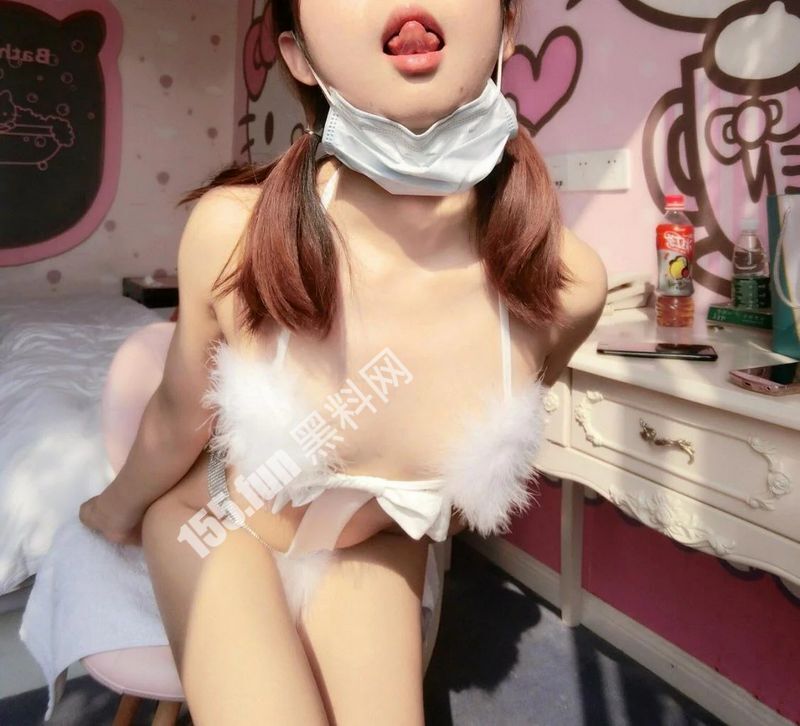 饲养的小奶猫