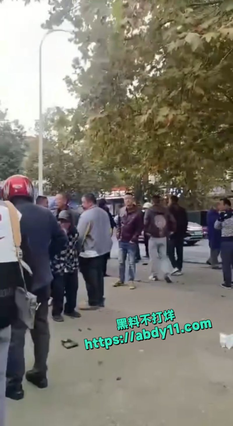 益阳又一大新闻2