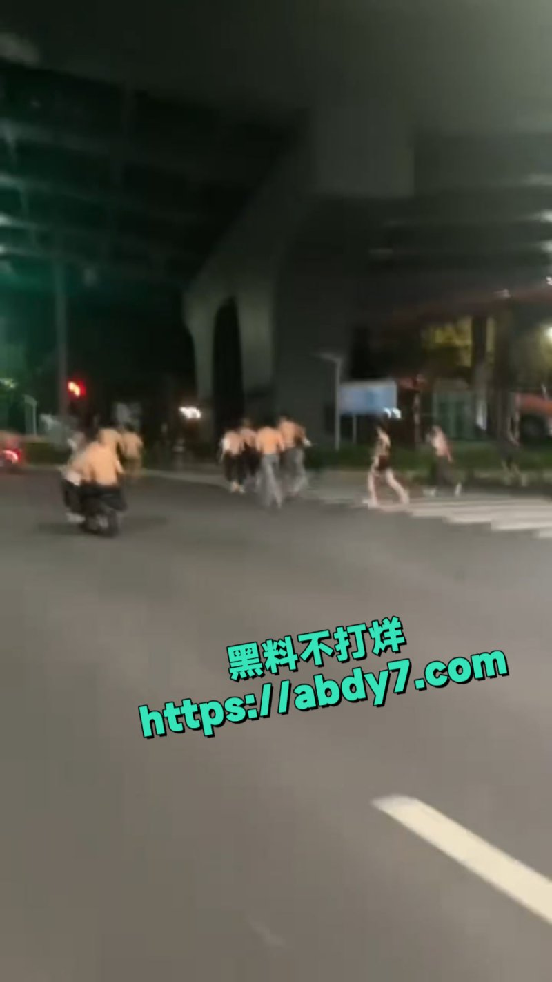 广东惊现古惑仔打架4