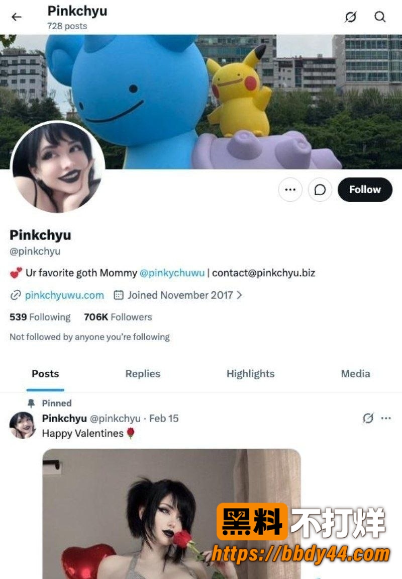 Pinkchyu 5
