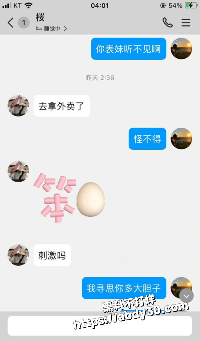 上海极品小萝莉 黄叶5