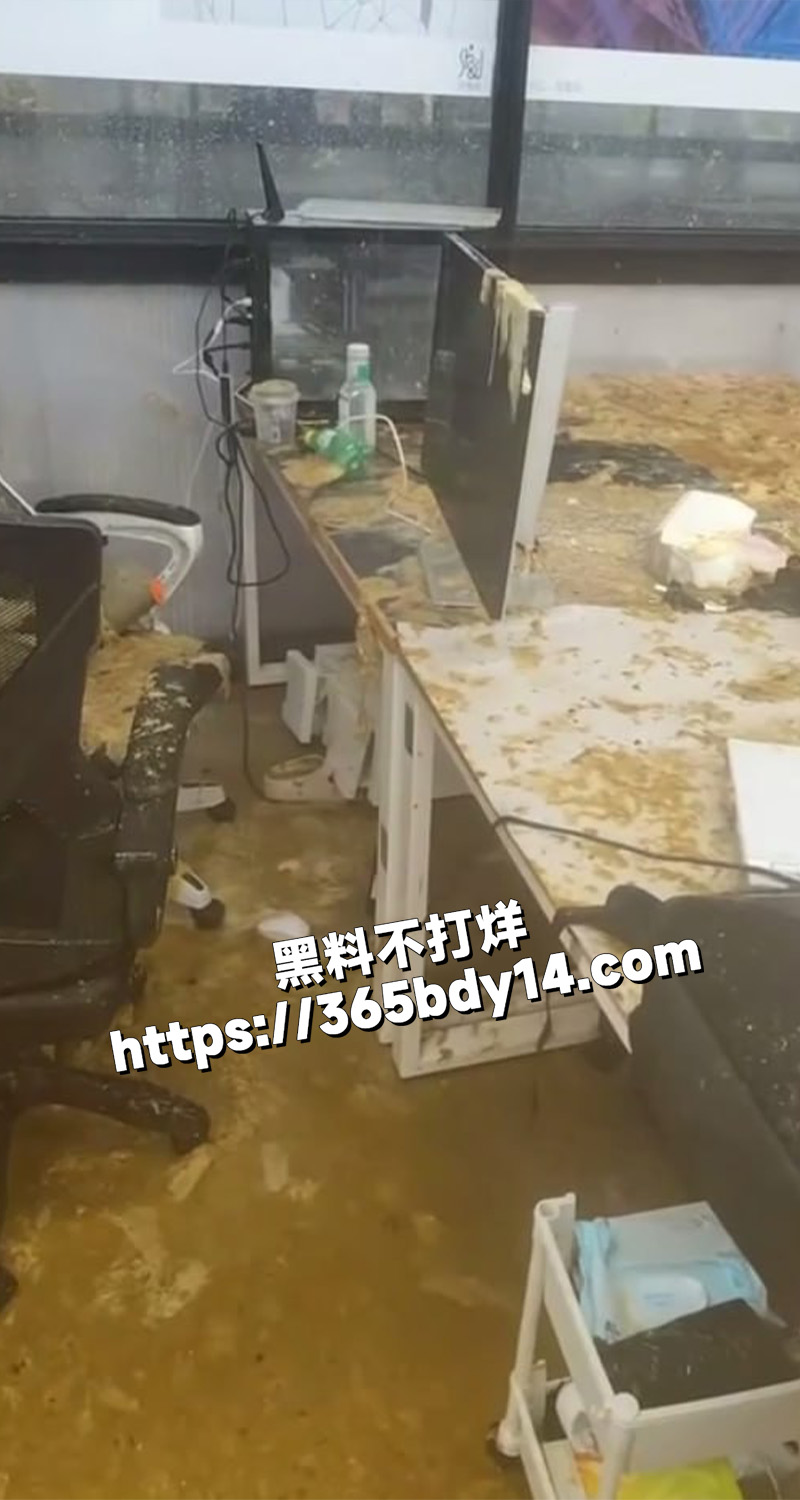 国美淋屎7