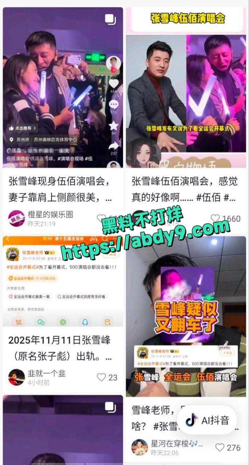 张雪峰带三姐看伍佰演唱会6