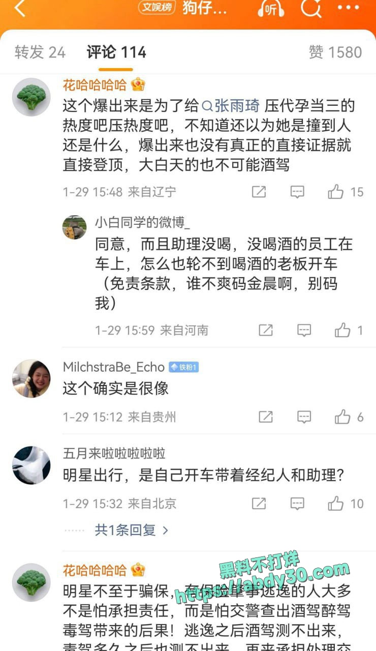 金晨被曝在浙江肇事逃逸让助理顶包骗保 7