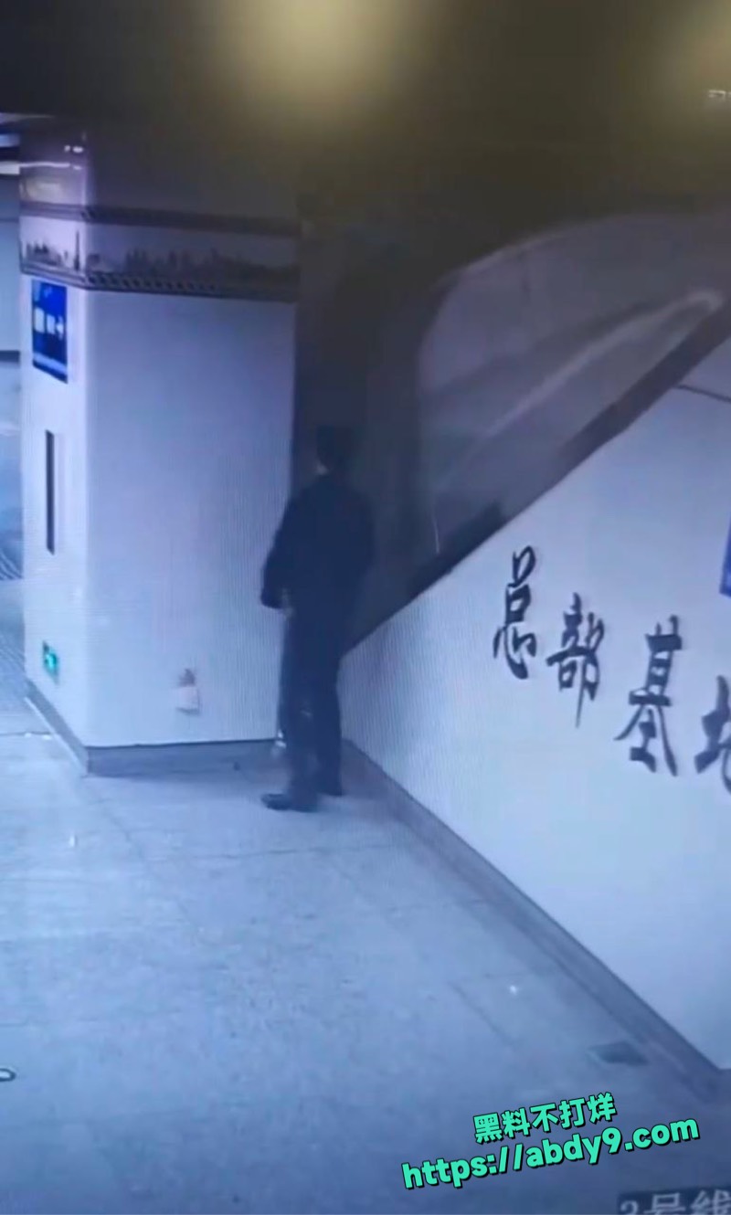 南宁总部基地地铁男子随地大小便 3