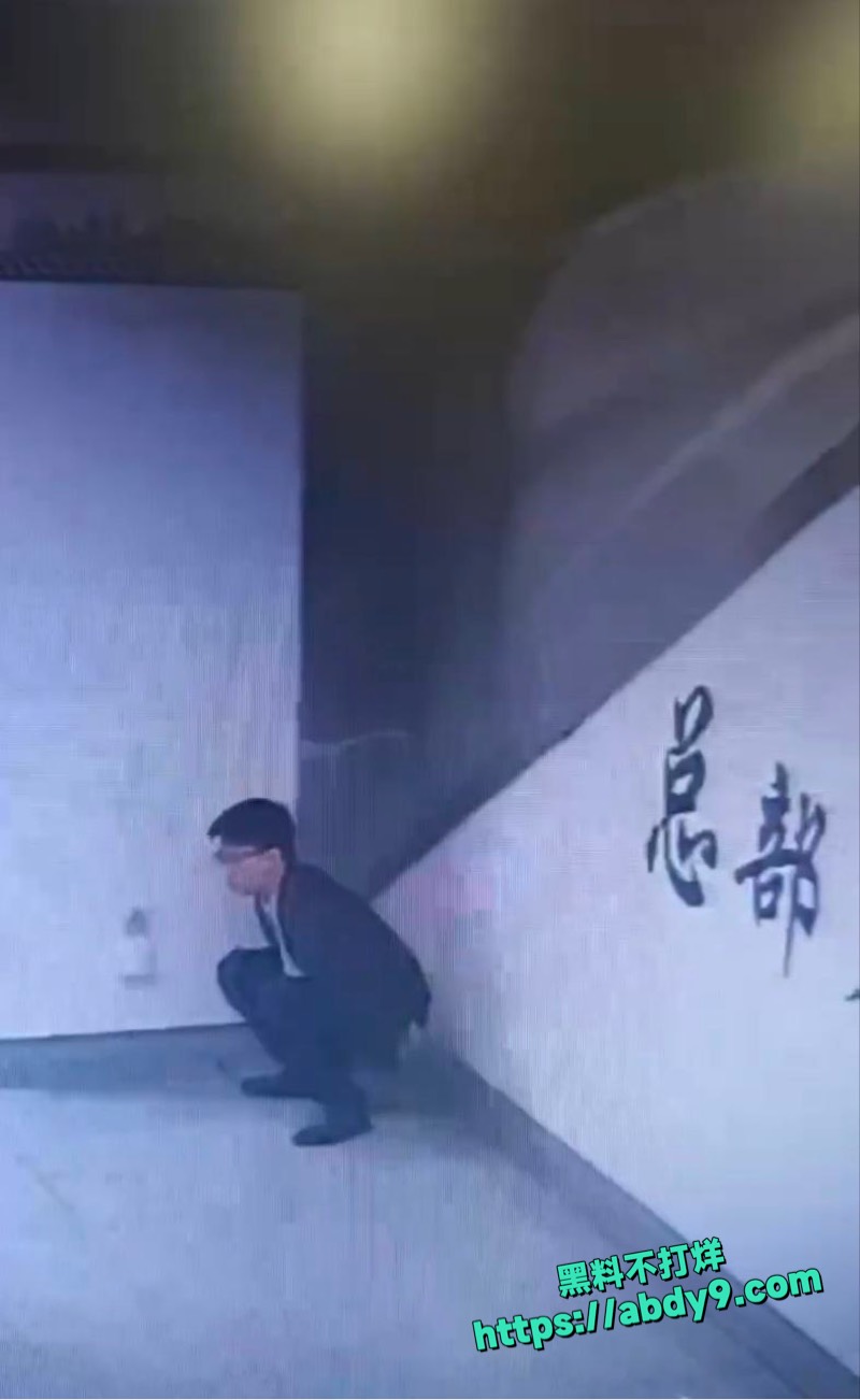南宁总部基地地铁男子随地大小便 5