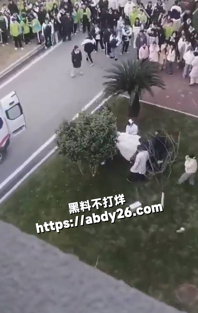 湖南益阳五雅高级中学4