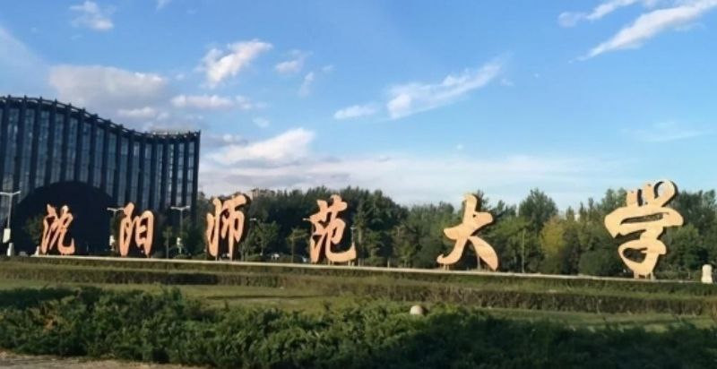 沈阳师范大学 男同性恋学生在宿舍搞基肛交 男人叫床竟然也能如此的风骚淫荡啊
