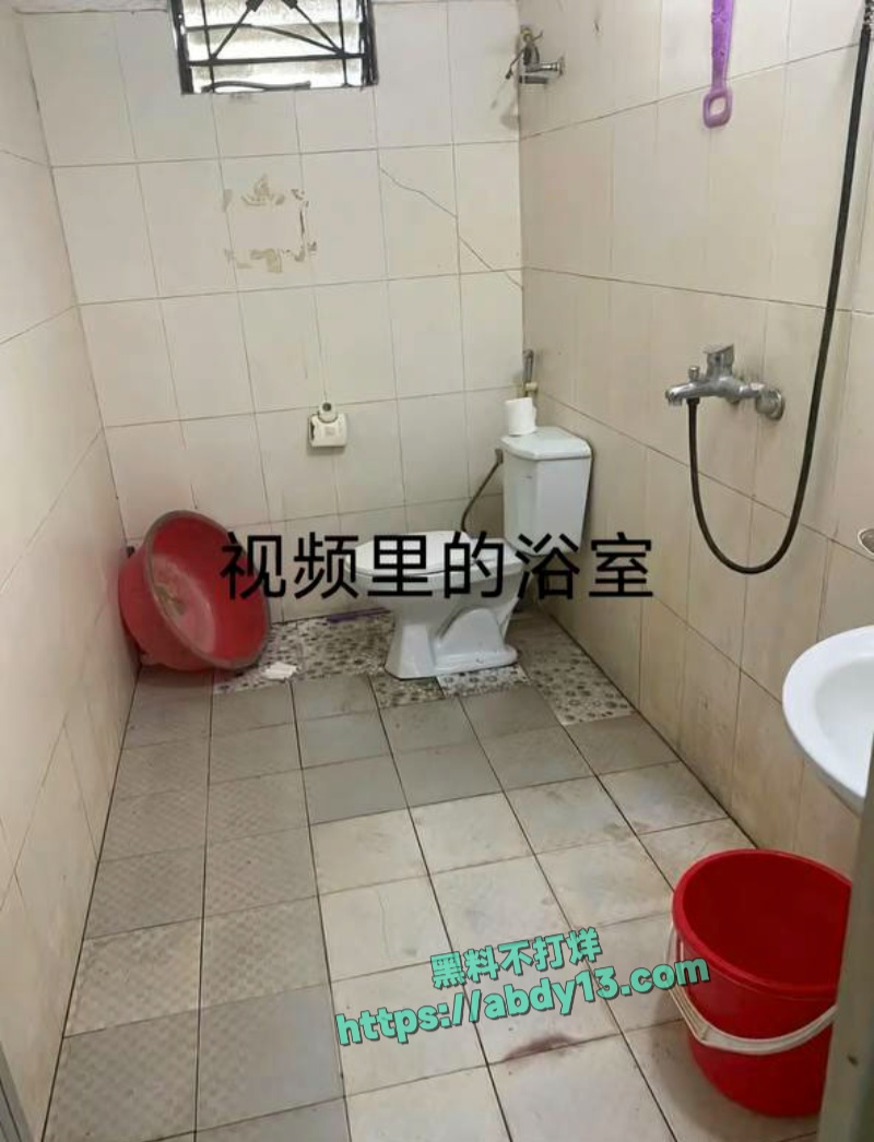 越南屠夫案凶手被捕 12