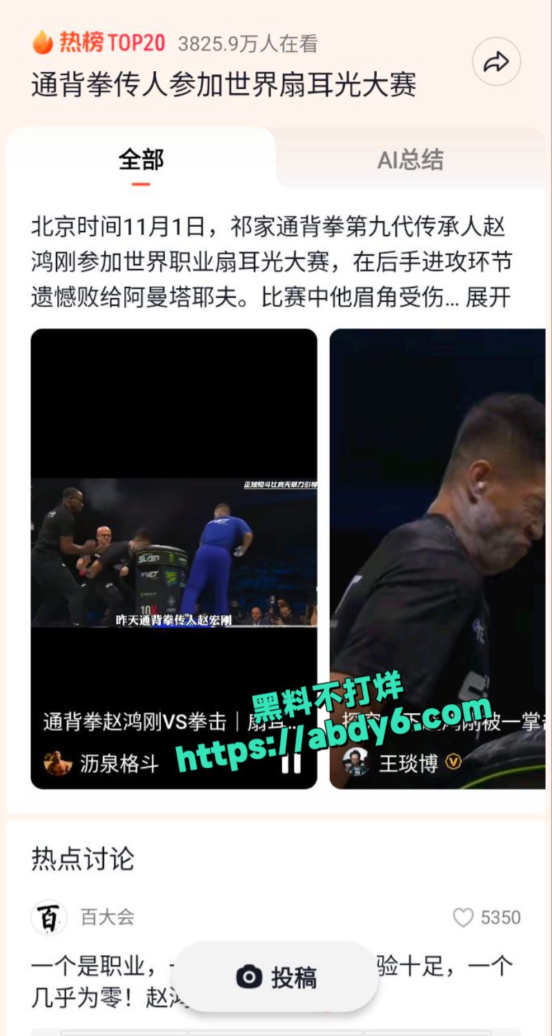 中国通背拳传人赵鸿刚参加UFC扇耳光大赛被对手KO2
