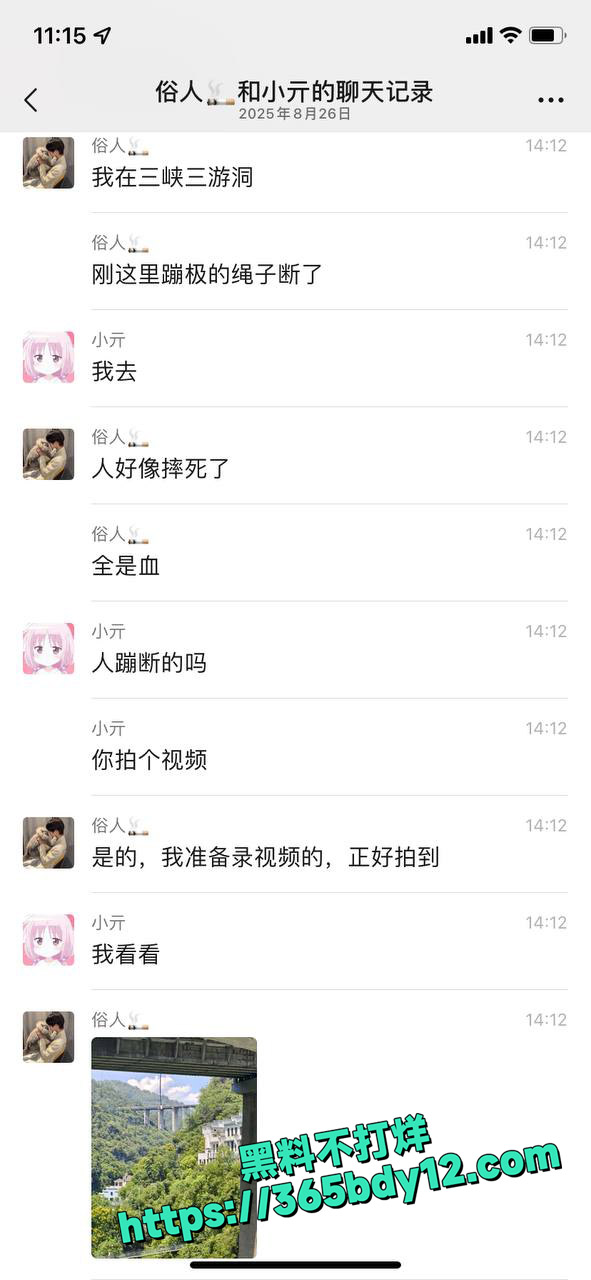 宜昌蹦极绳断裂游客直坠江中 7