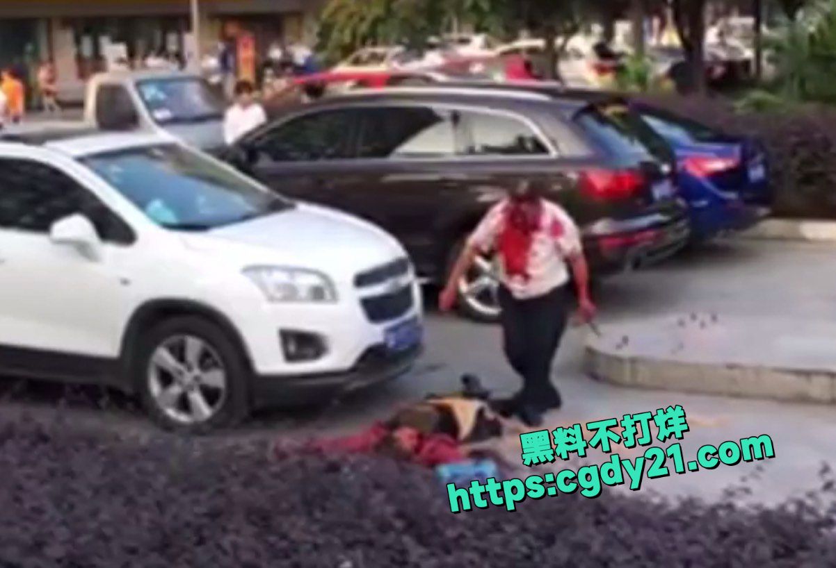 街头杀人肠子都拽出来了4
