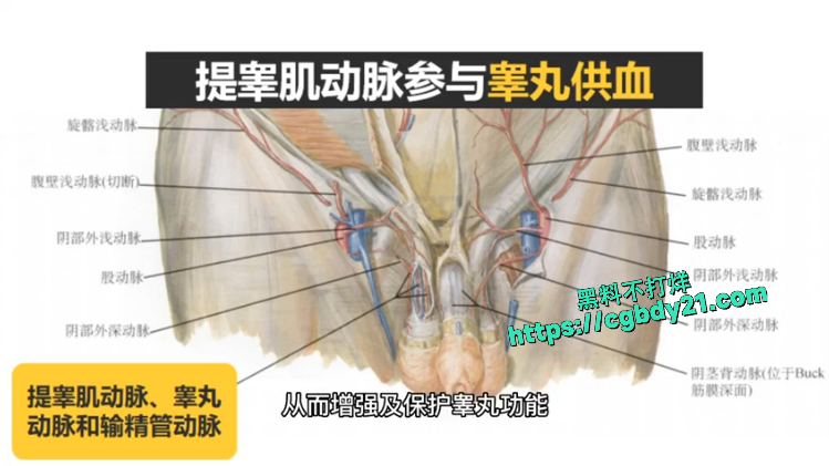 硬核十增7