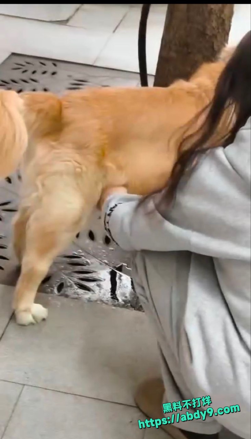 妹子早中晚撸狗鸡巴三次3