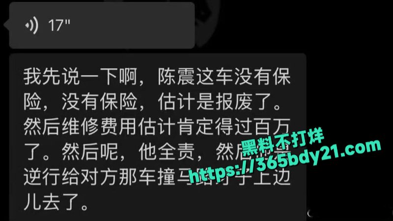 抖音知名车评人陈震逆行车祸7