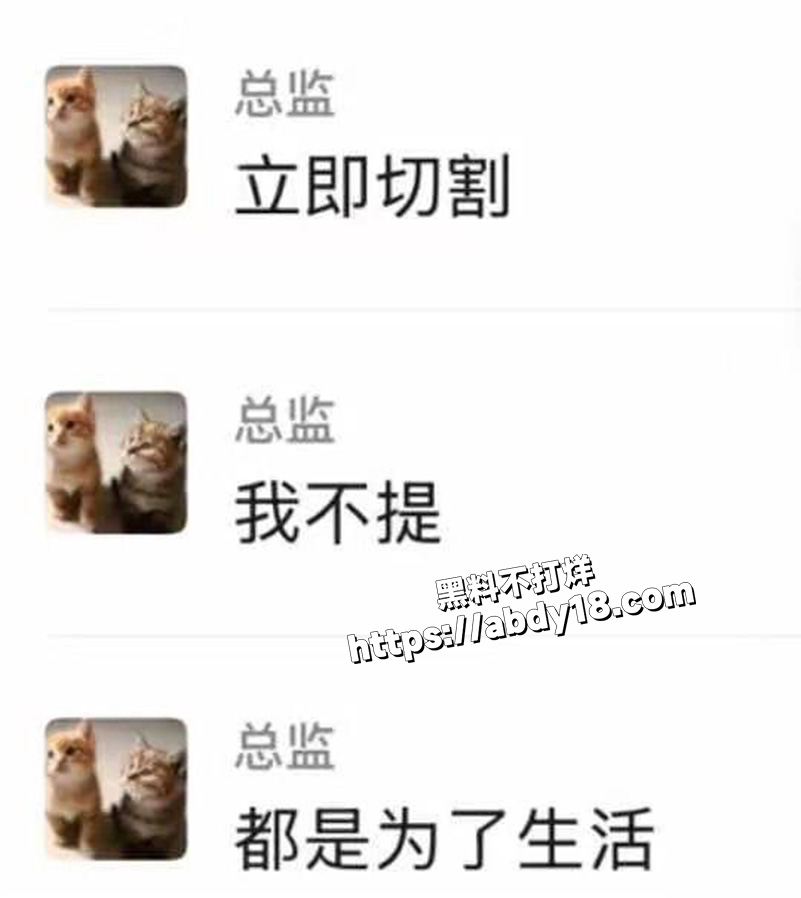 抽象果盘女佩恩自爆1