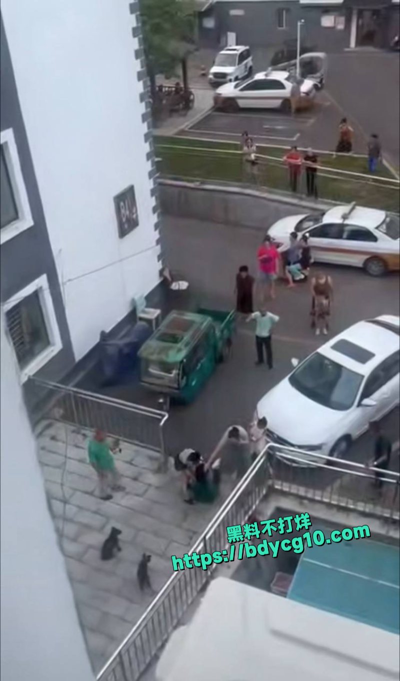 吉林长春出门没栓绳吓着孩子了被打了6