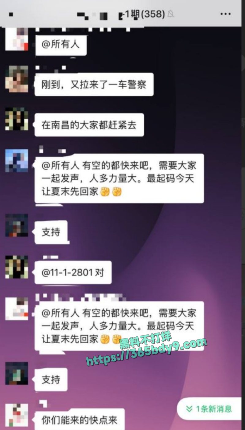 新力城业主因学区问题前往政府维权3