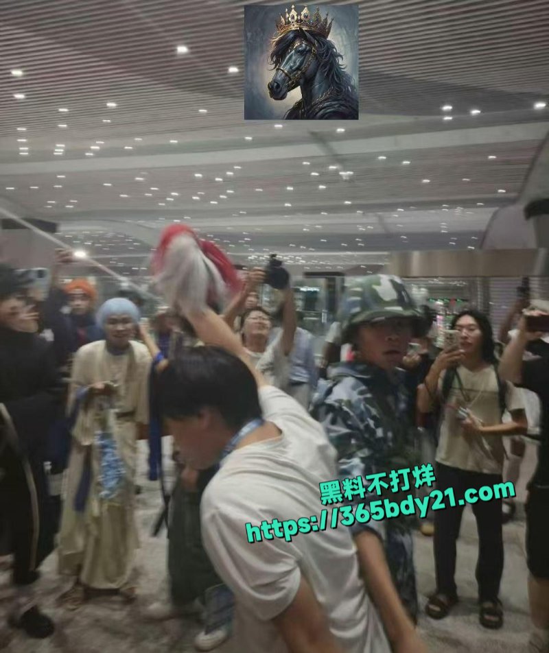 成都动漫展事件