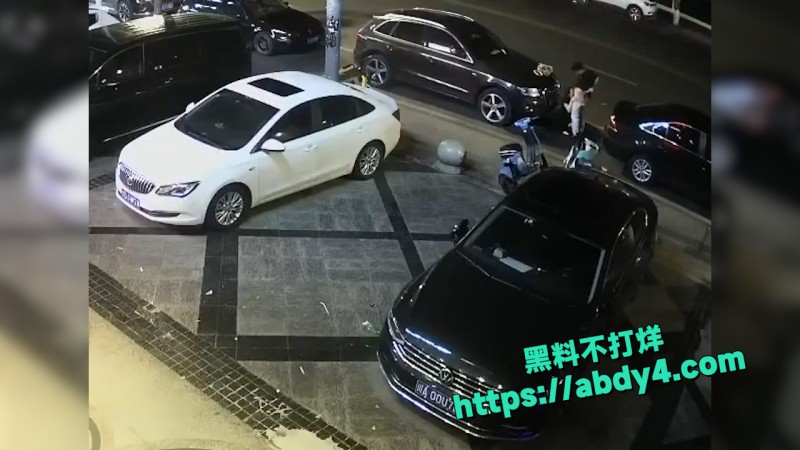 野鸳鸯精虫上脑 路边车旁激情啪啪  4