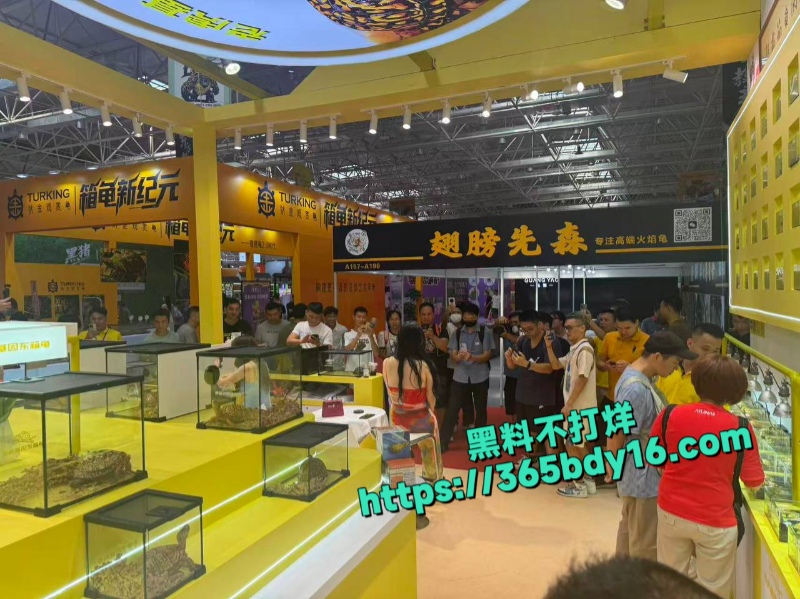 顺德龟展模特这么骚6