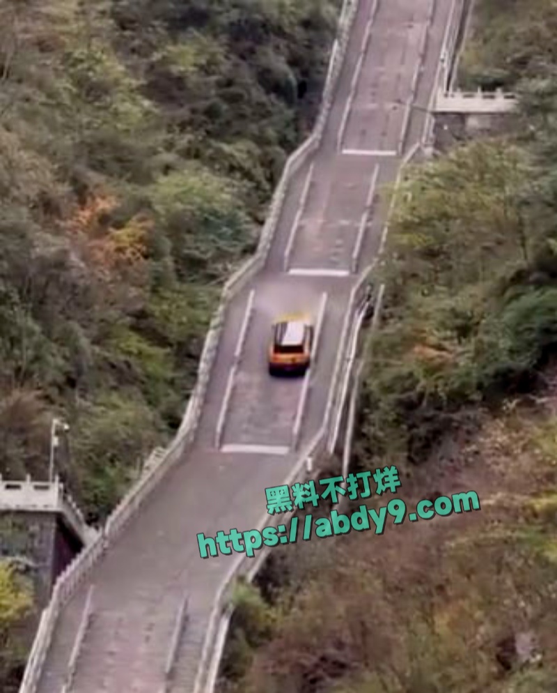 奇瑞风云X3L天门山天梯挑战失败 5