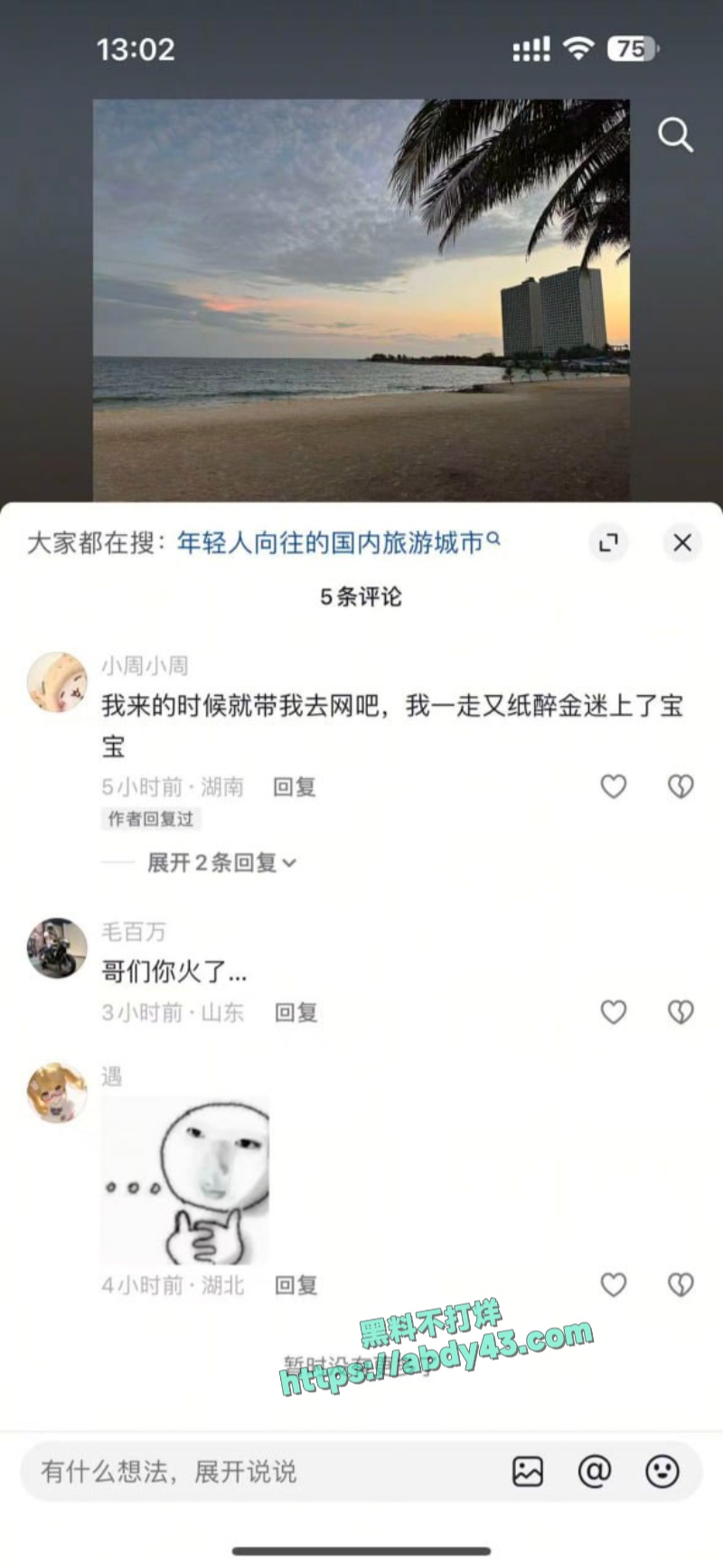 武汉W车队不吃猪肝 44