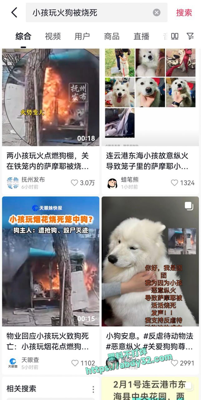 连云港两男孩烧死笼中萨摩耶  3