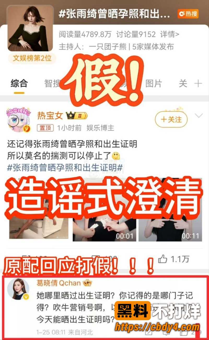 张雨绮代孕黑料 29