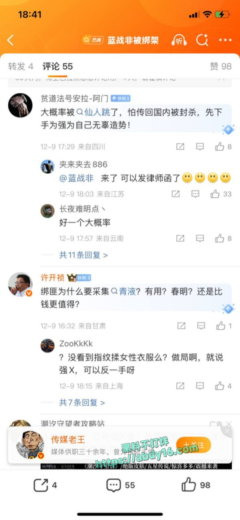 蓝战非南非绑架事 15