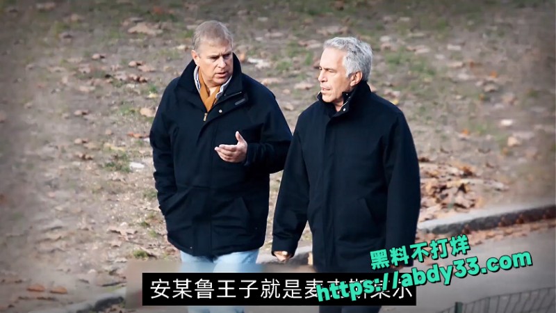 爱泼斯坦死亡谜团解开 22