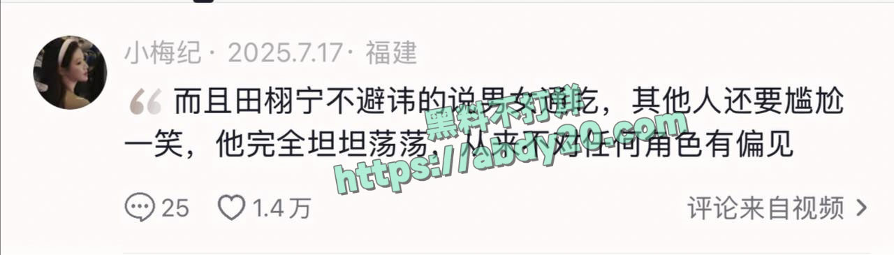 男演员田栩宁被曝反复出轨 17