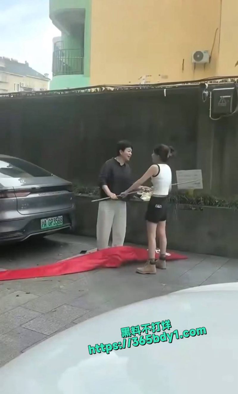 浙江嘉兴平湖滨水广场小三和原配撕起来了4