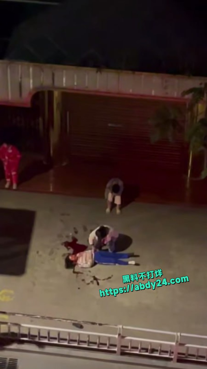 花季少女跳楼自杀2