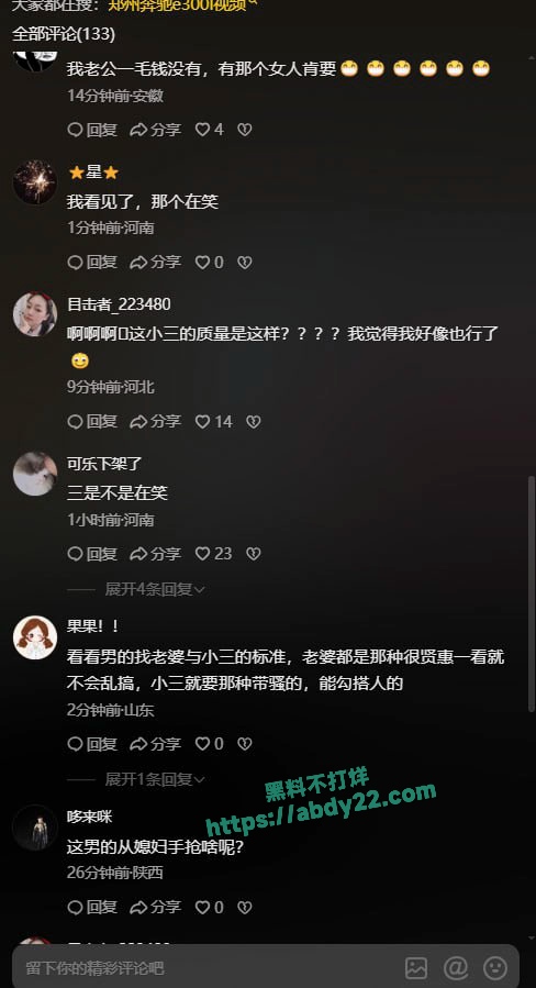 河南奔驰哥帮小三当街殴打原配 3