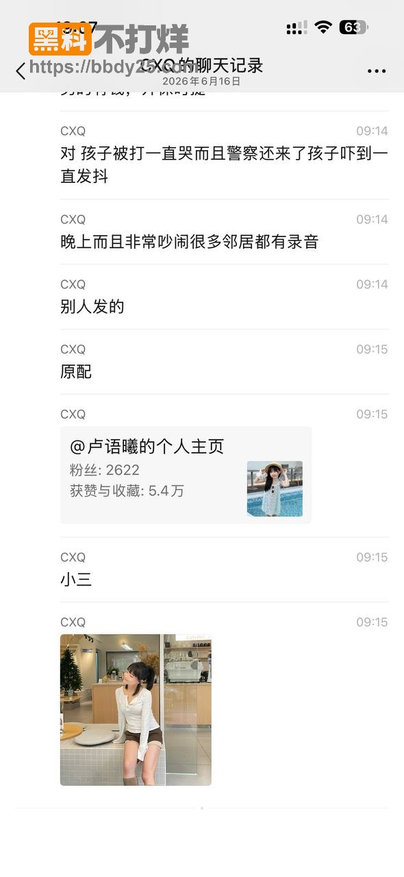 潮汕本地大瓜5