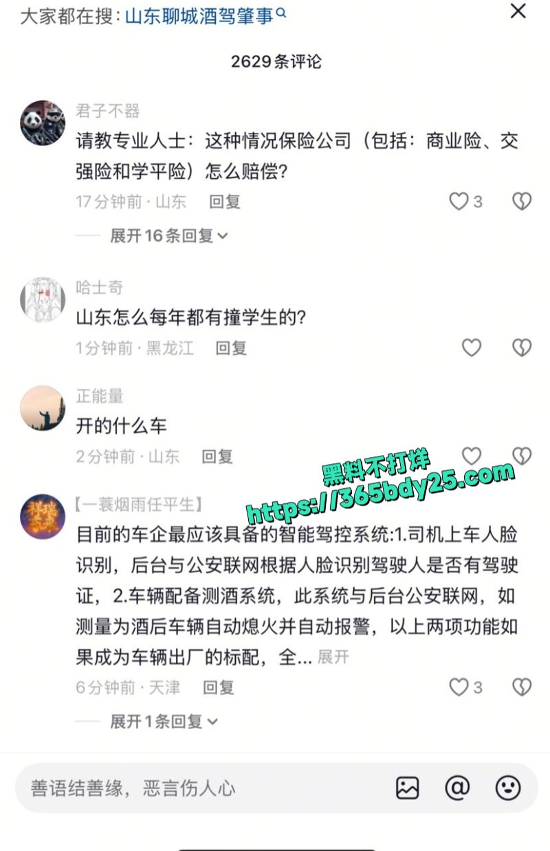 山东聊城酒驾重大事故9