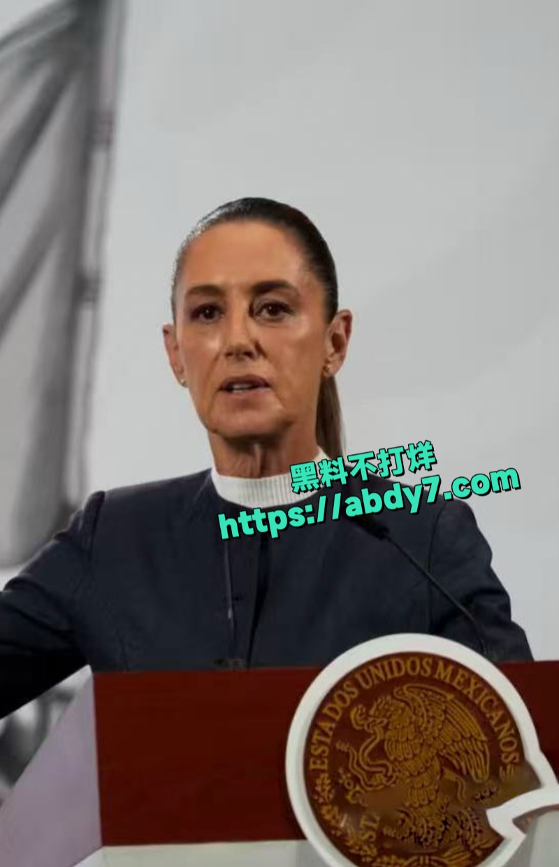 墨西哥女总统谢因鲍姆遭街头性骚扰 3