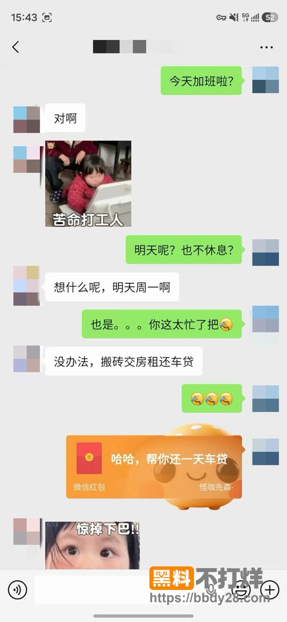老虎菜1