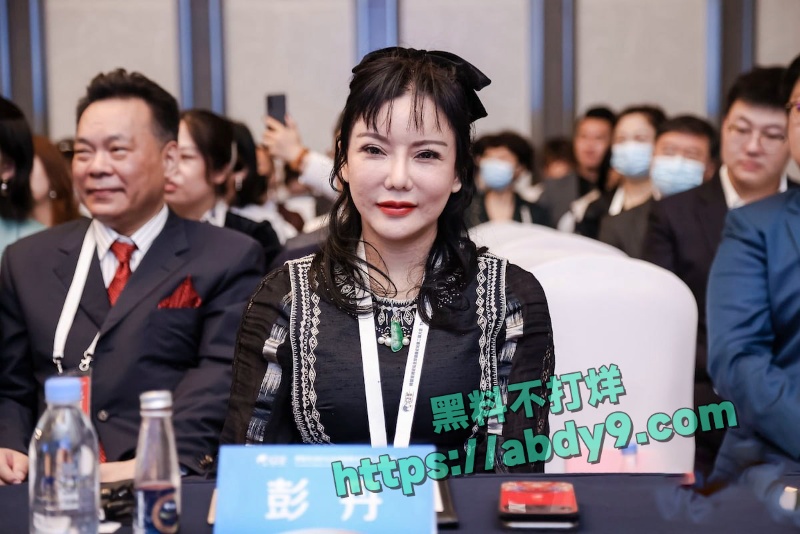 前香港三级片女王彭丹出席国家外交活动 11