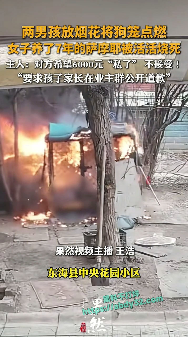 连云港两男孩烧死笼中萨摩耶  2