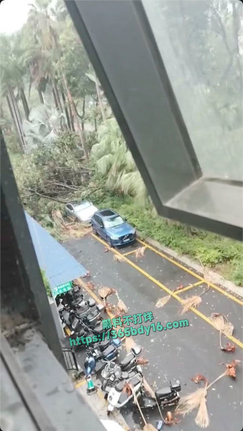 东莞突然降临极端天气6