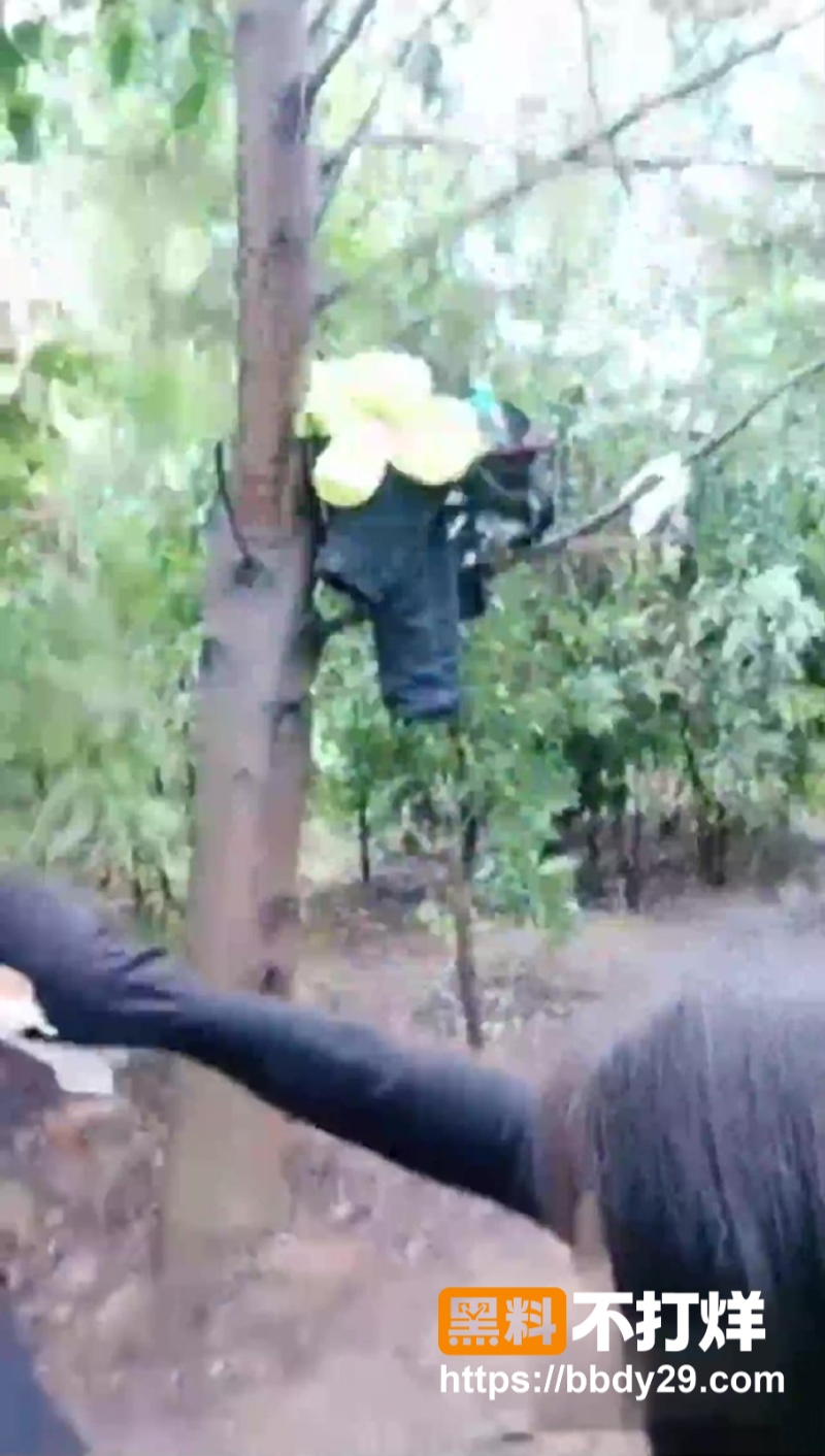 渣男电瓶车激情啪啪3