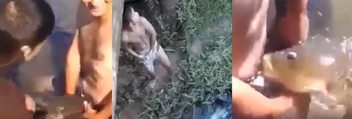 人兽系列之鱼嘴口交 又解锁了一个新的自慰玩法 脑洞是真的大!