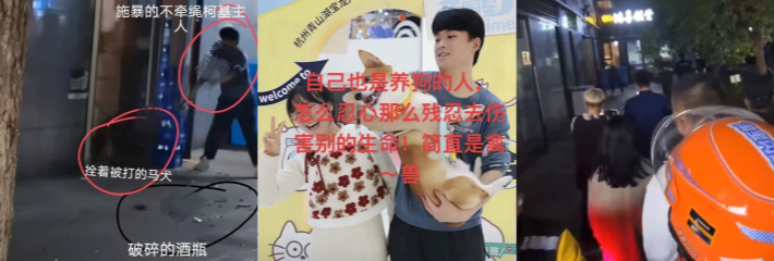 爱狗人士慎看！浙江杭州男子当街用酒瓶和砖头疯狂打砸一只狗 被曝之前就有虐待嫌疑！