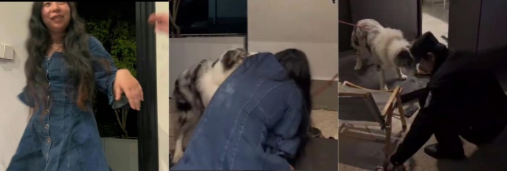 坐标浙江 半夜家里闯入一陌生女子 什么都不做就抱着狗玩 喜感现场！