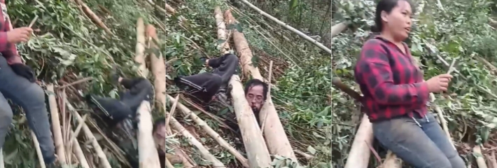老头砍树却遇夹头风波 看着衰样子老头怕是要把头给夹断了！