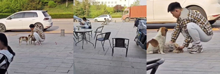猥琐男当别人“老公”面直接扣逼？！奇葩的是男子扣的是狗的逼！！